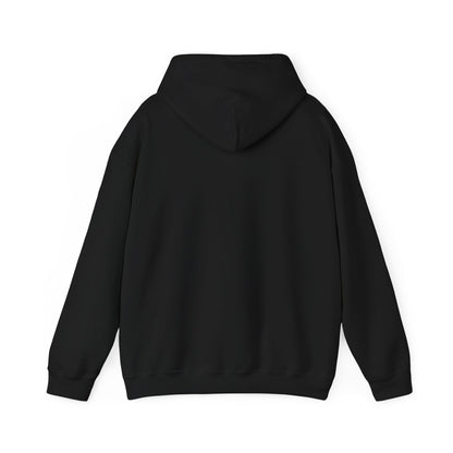 Desert Trails Hooded Sweatshirt/Hoodie